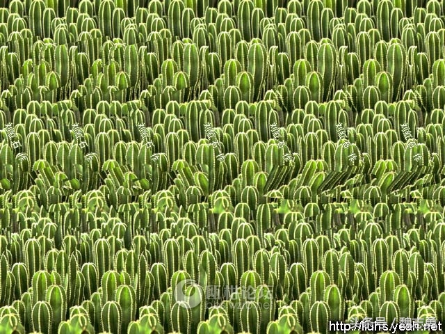 心理减压画画,减压静心的画