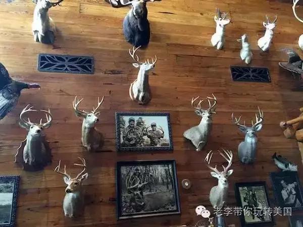 嗨文化｜美国狩猎：吃到嘴的意义