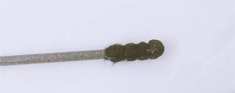 “黑头”这个渣男，彻底和他Say byebye~