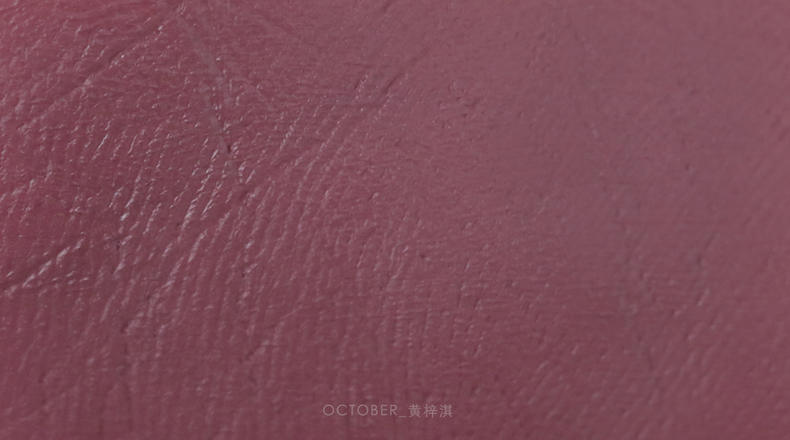 经典的mac宣传语,mac口红日常