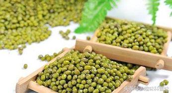 节食减肥该怎么吃不反弹,减肥不能节食不然一吃就胖