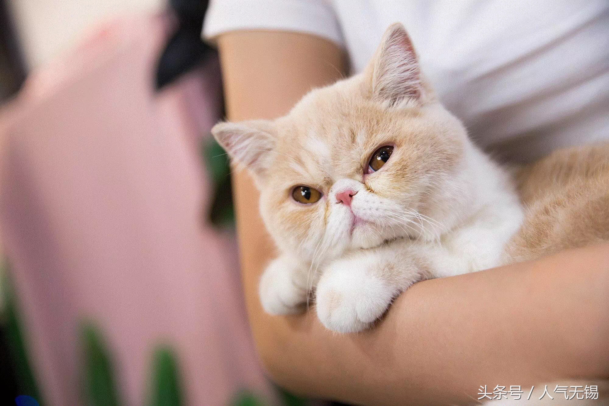 锡盟拍最美证件照,拍文艺照片的照相馆推荐