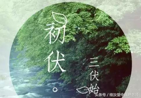 三伏天菖蒲和艾草泡脚好吗,天天用艾草泡脚有没有副功能