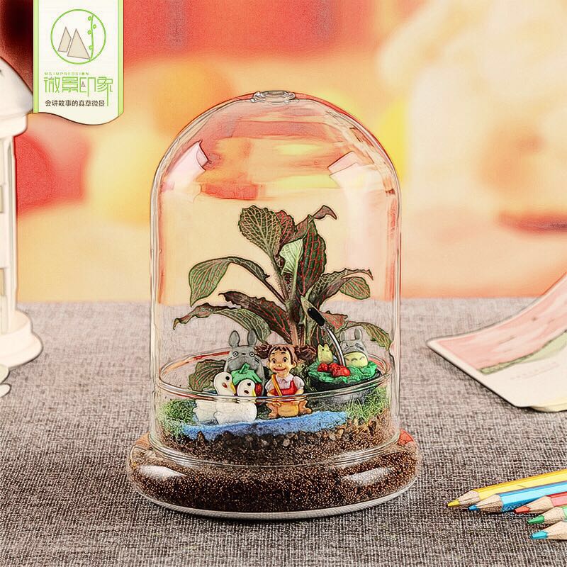 小说你若盛开清风自来,你若盛开清风自来文章