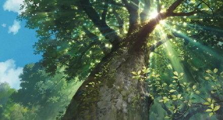 小说你若盛开清风自来,你若盛开清风自来文章