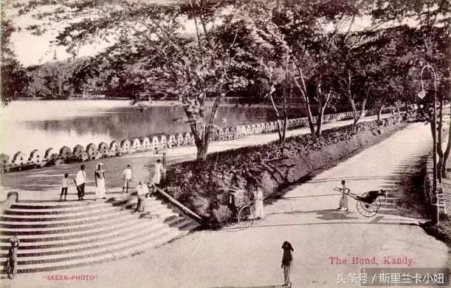 王健林海外投资靠谱吗,王健林投资瑞士新西兰