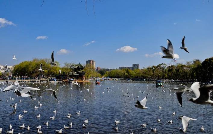 去云南玩两天攻略怎么玩好一点 (云南旅游自由行攻略7天路线推荐)