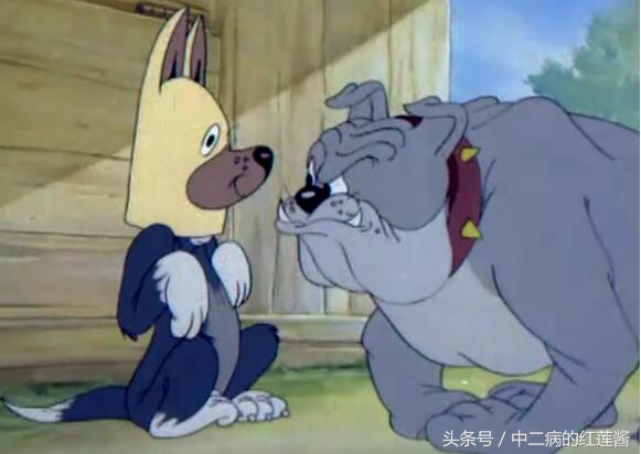 《笨女孩》被一个笨蛋带坏的小镇，唯独这条狗全面过人