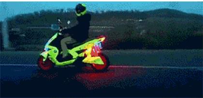 正确认识狂犬病知真相不恐慌,行家讲解狂犬病全过程