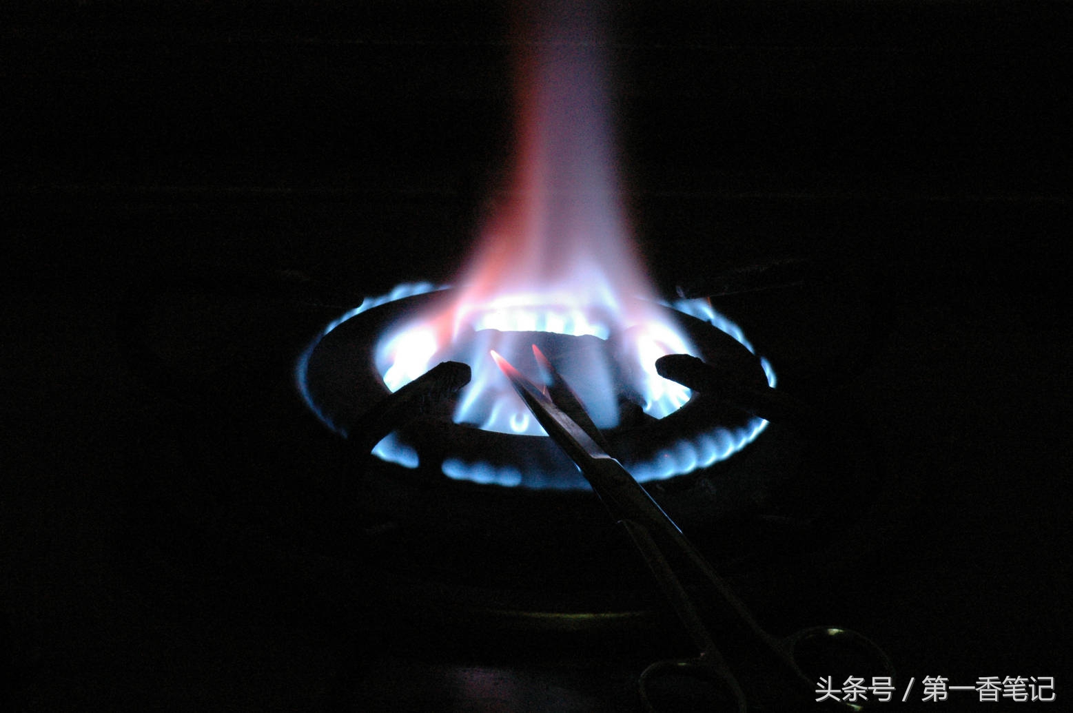 颗粒植料上盆养兰视频,滇西养兰人讲兰花上盆