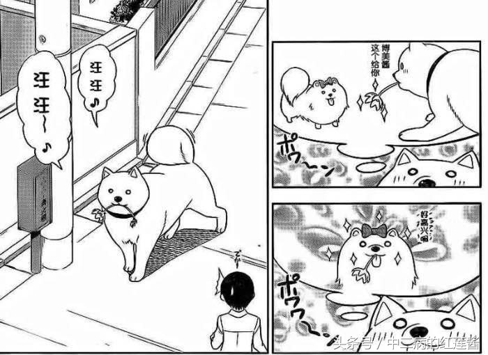 《笨女孩》被一个笨蛋带坏的小镇，唯独这条狗全面过人