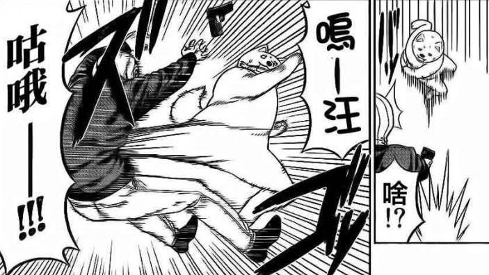 《笨女孩》被一个笨蛋带坏的小镇，唯独这条狗全面过人