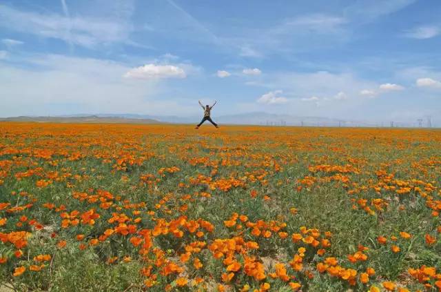 美国旅游10个必去的地方,美国加州有什么好玩的地方