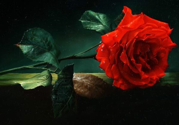 油画玫瑰花用刮刀画法,油画玫瑰花的作品欣赏
