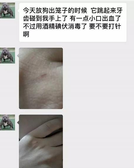 正确认识狂犬病知真相不恐慌,行家讲解狂犬病全过程