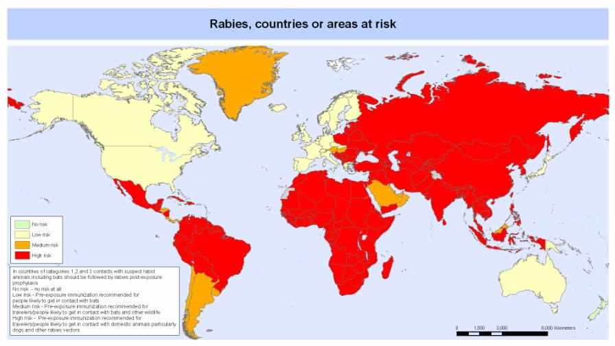 正确认识狂犬病知真相不恐慌,行家讲解狂犬病全过程