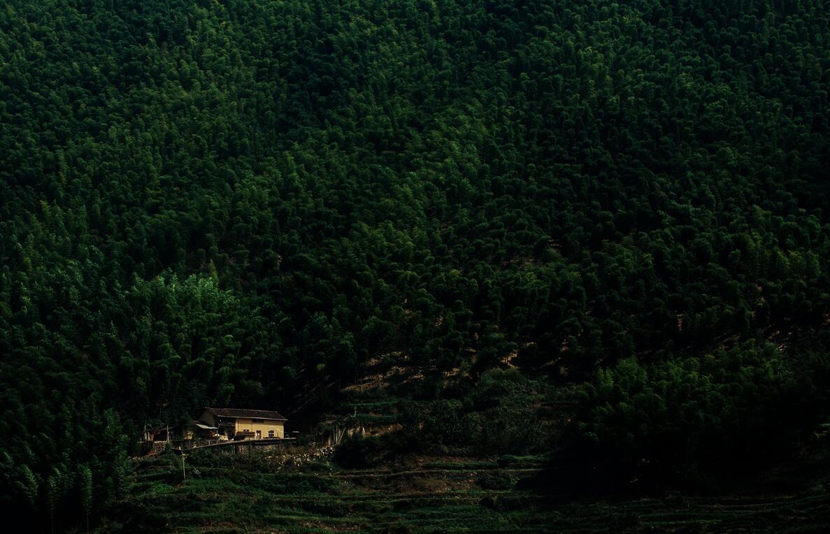 在野外迷路怎么办,户外保命的十大禁忌