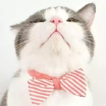 随时随地一壶热水就能吃上的美味螺蛳粉，我们帮你找好了！饿了么？