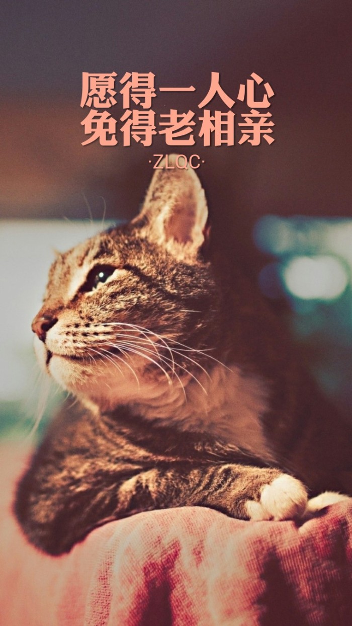 28句深入骨髓的文字，拿来做手机壁纸，时刻凝视，哪句最为戳中你的心扉？