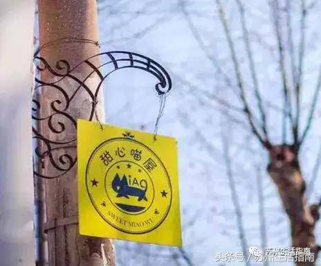 撸猫撸狗好去处苏州,苏州能够撸猫的园