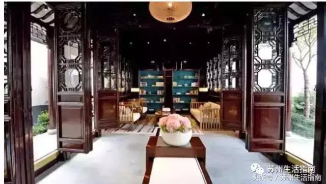 撸猫撸狗好去处苏州,苏州能够撸猫的园