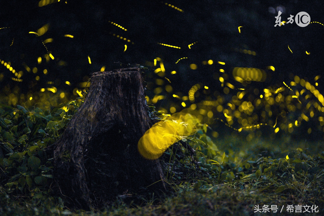 回忆逝去的80年代,怀念美好时光的回忆