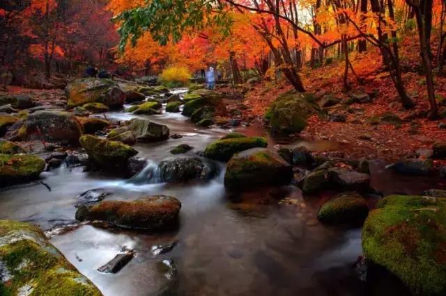 不输九寨沟的山东景点,不输九寨沟的湖