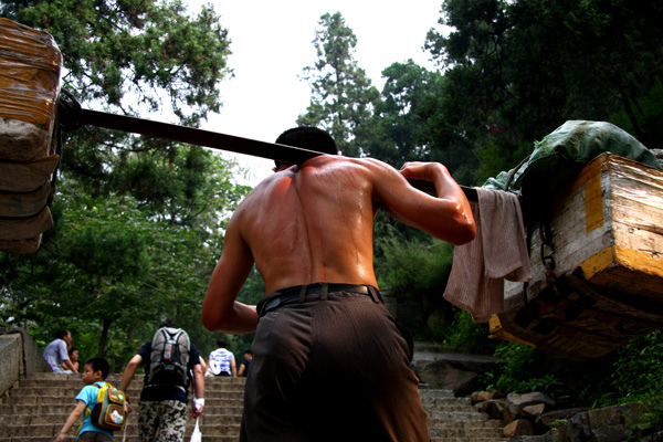 这个动物的尾巴补气之功可与人参媲美，还能够益肾精！