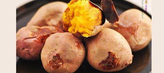 这些饵料堪称经典你用过几种,比较冷门但是效果却很好的饵料