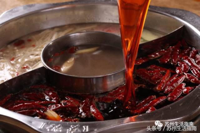 撸猫撸狗好去处苏州,苏州能够撸猫的园