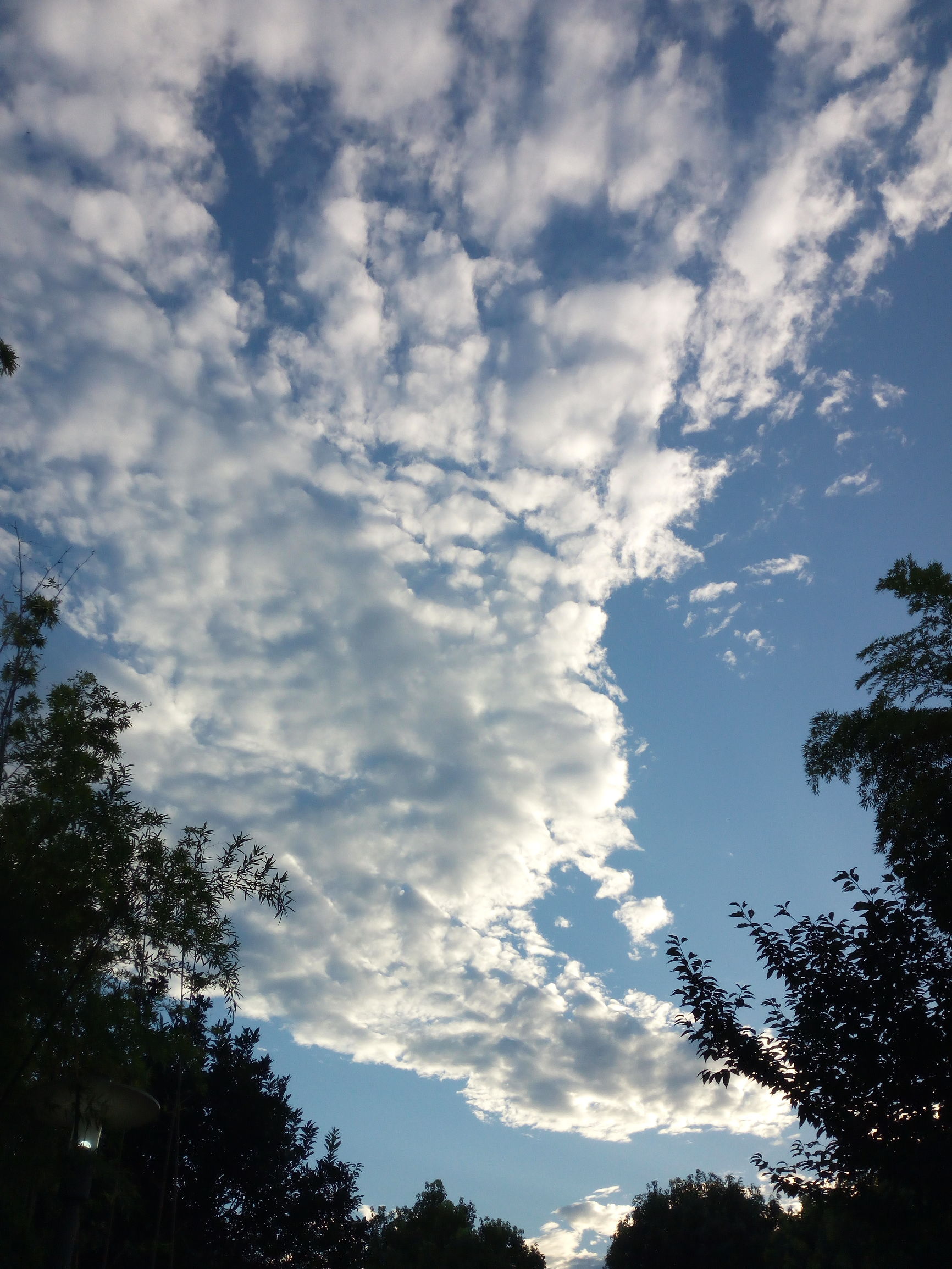 表达爱而不得的歌词大全,爱而不得是哪首歌的歌词