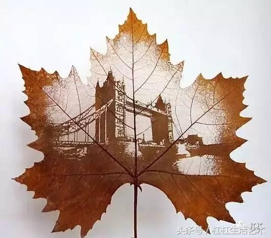 一人一花一世界一树一菩提,一花一世界一叶一菩提一人一颗心