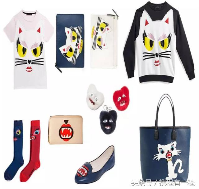 王思聪能够带狗上飞机吗 (王思聪飞机能够带狗吗)