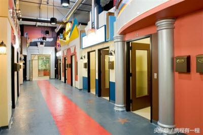 王思聪能够带狗上飞机吗 (王思聪飞机能够带狗吗)