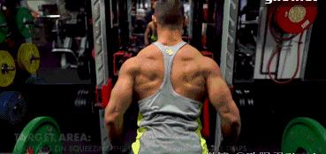 背部训练主要是背阔肌还是斜方肌,高位下拉上背部和背阔肌训练方法