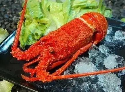 自由行芽庄旅游攻略,芽庄旅游攻略大概多少费用