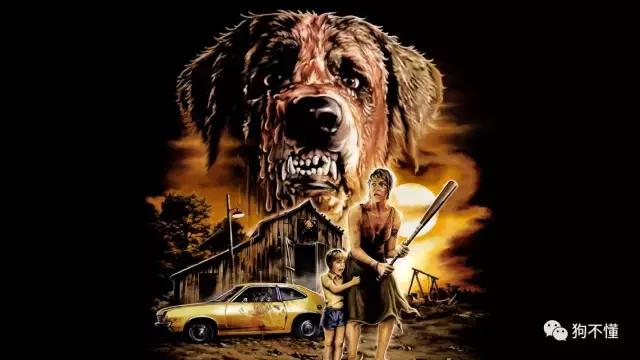 正确认识狂犬病知真相不恐慌,行家讲解狂犬病全过程