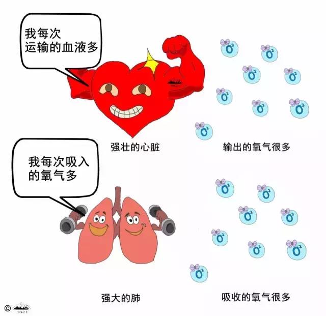 户外登山体力训练,登山提升爬坡能力