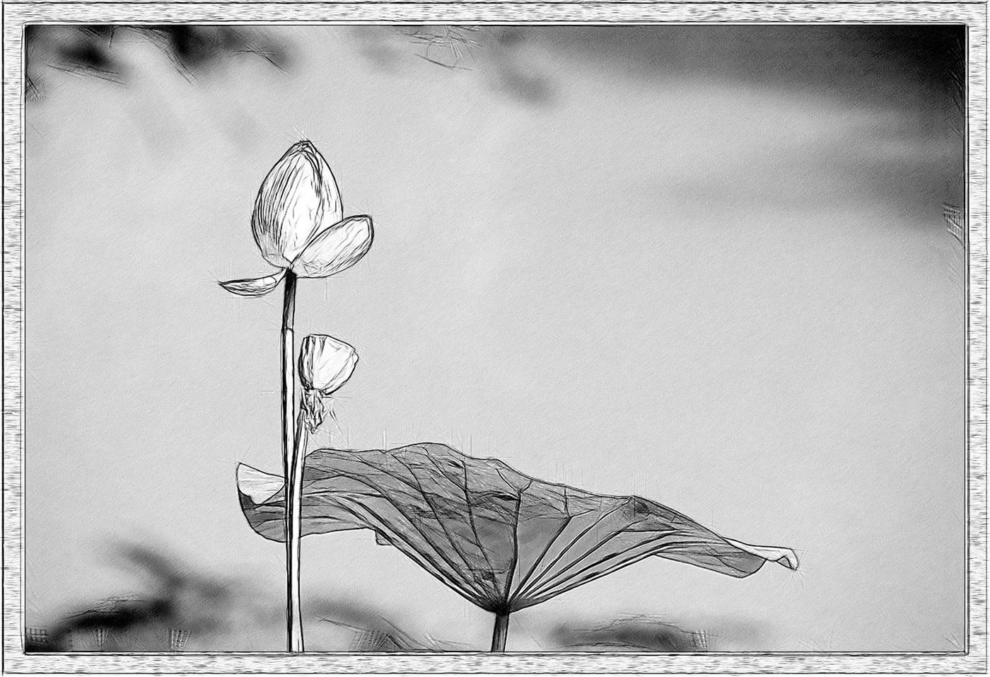雨打梨花落柳絮飞 (两岸鸳鸯两处飞相逢知几时解释)