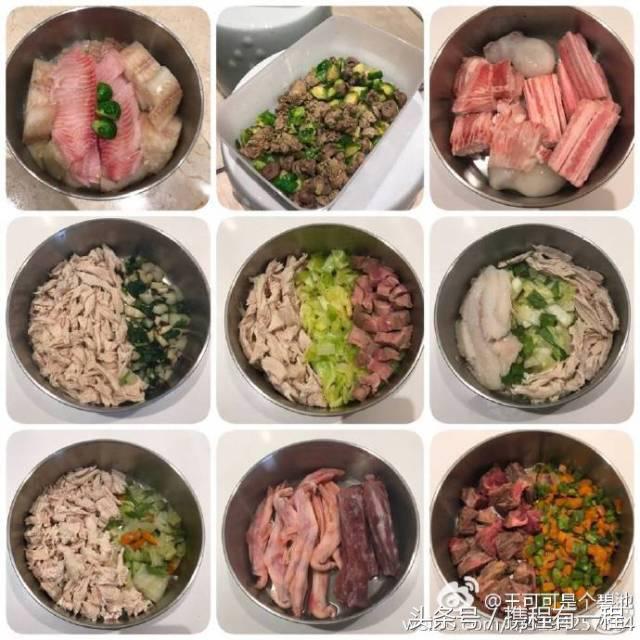 王思聪能够带狗上飞机吗 (王思聪飞机能够带狗吗)