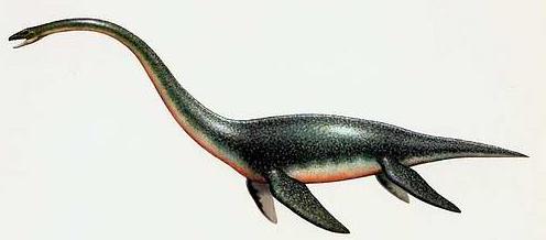 深海为什么总有”海怪“作祟，世界许多国家舰船的航海日志上，都有发现”海怪“的记录