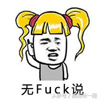 王思聪能够带狗上飞机吗 (王思聪飞机能够带狗吗)