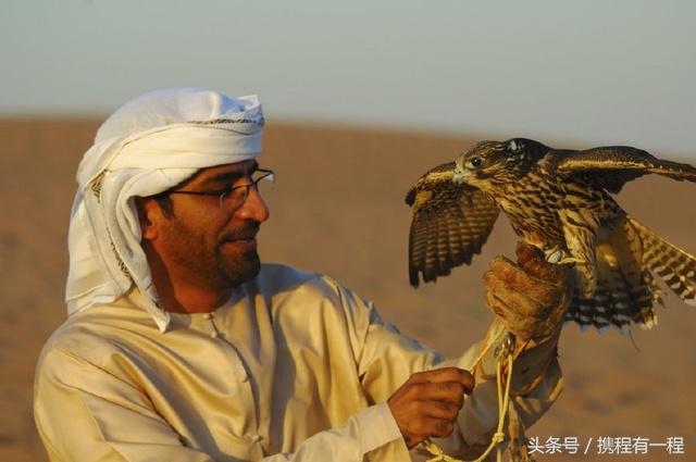 王思聪能够带狗上飞机吗 (王思聪飞机能够带狗吗)