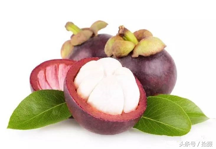 山竹大家都吃过但怎么挑选山竹,如何挑选山竹才是最新鲜的