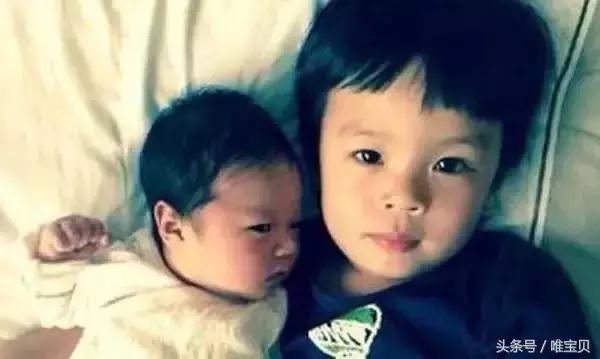明星二胎哪里最萌 (明星二胎谁最萌)