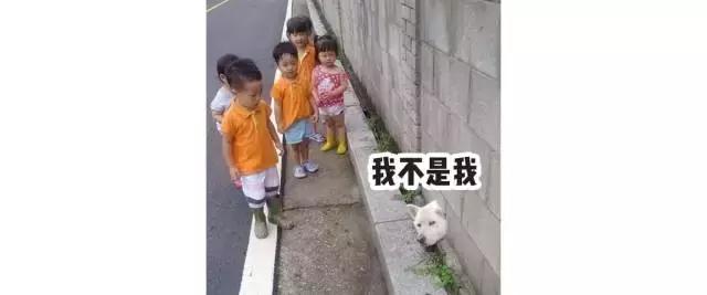 屈臣氏最值得买的东西十一月好物,2022年屈臣氏最值得购买的好物