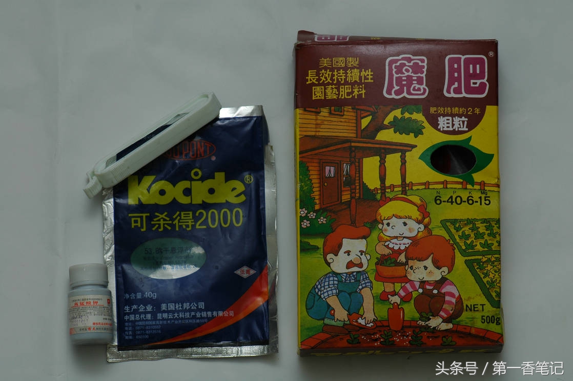 颗粒植料上盆养兰视频,滇西养兰人讲兰花上盆