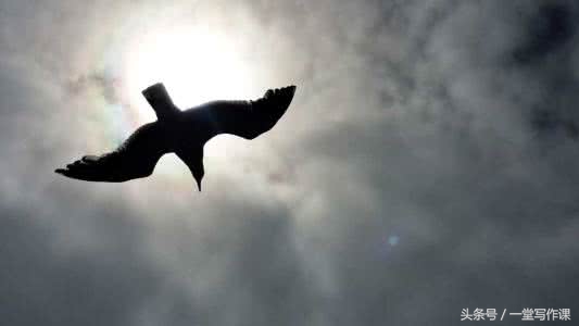 散文的理念是什么,散文的定义及构成要素