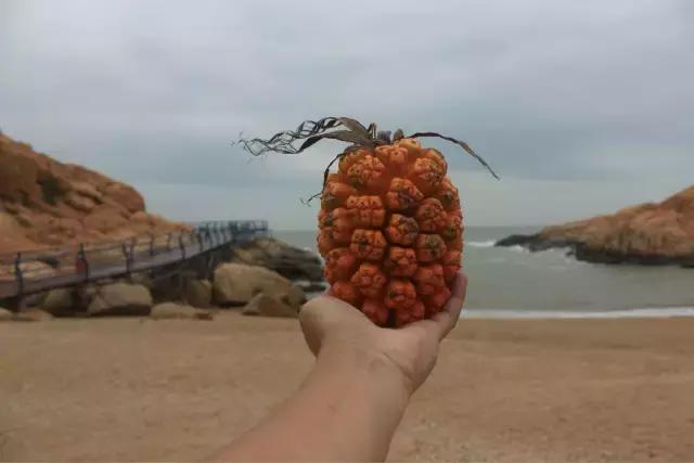 马代和帕劳哪个好玩,帕劳旅游攻略马代