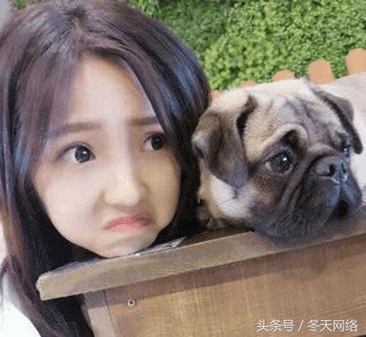 白条闪付和京东闪付一样吗,京东闪付和白条闪付哪个好